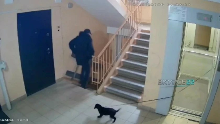 В Новоалтайске мужчина привязал щенка к поручню лифта и ушёл
