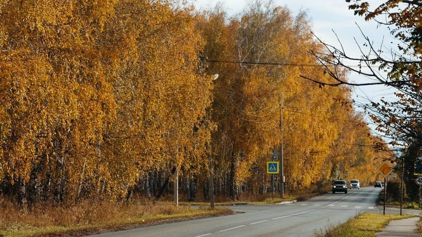 В Березовой роще на Солнечной Поляне обновили пешеходную зону