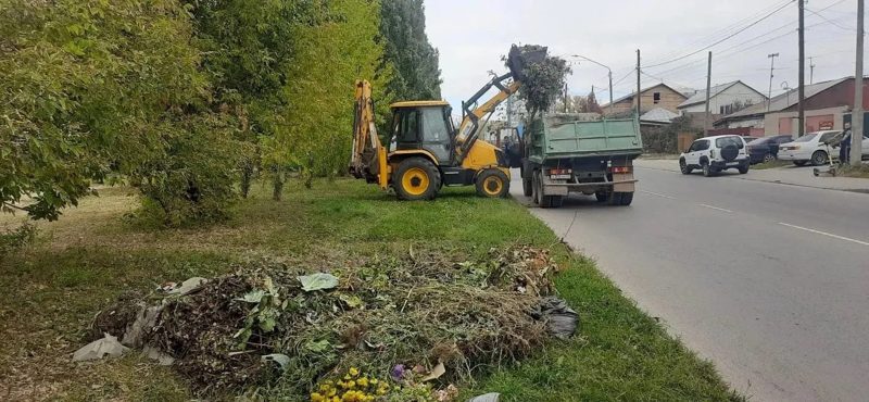 Более 8 тысяч барнаульцев вышли на первый «Чистый четверг»