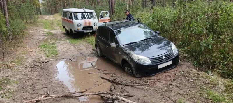 Барнаулец заблудился в лесу под Павловском и застрял на машине