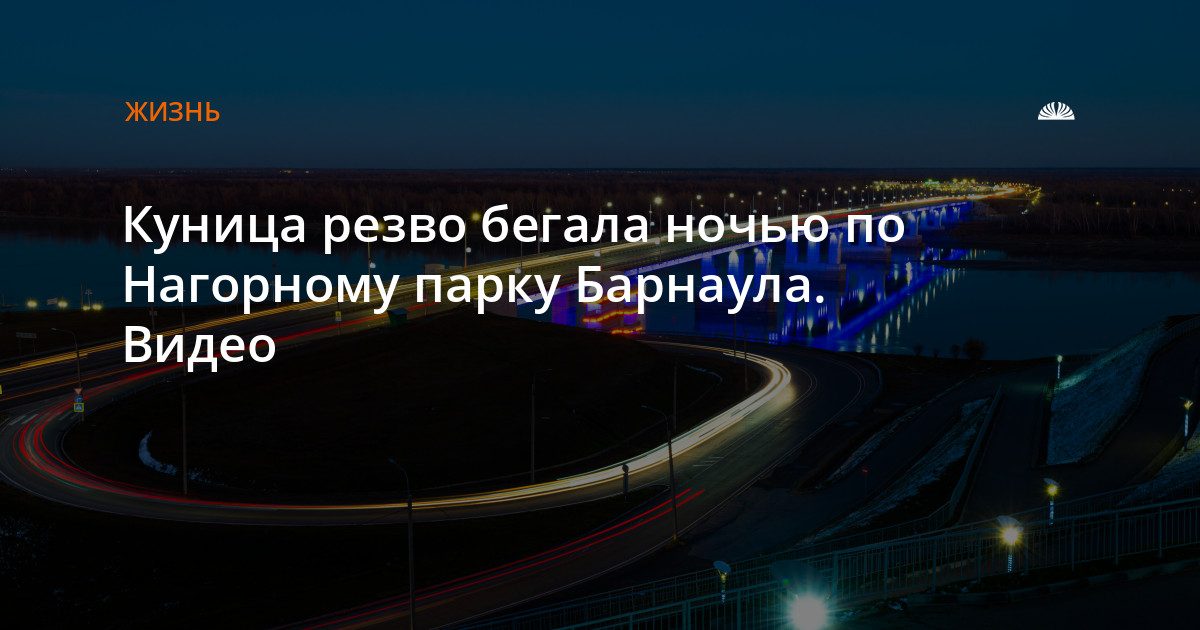 Куница бегала по Нагорному парку ночью