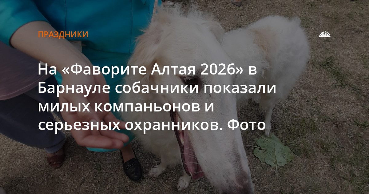 В Барнауле прошла выставка собак «Фаворит Алтая 2026»