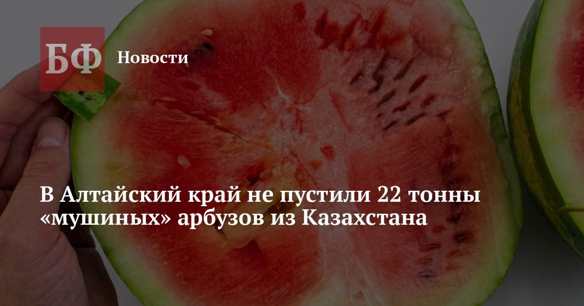 В Алтайский край не пустили 22 тонны арбузов из Казахстана с карантинным насекомым