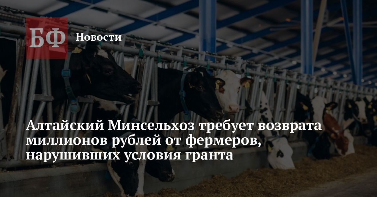 Минсельхоз требует возврата грантов у фермеров Чарышского района