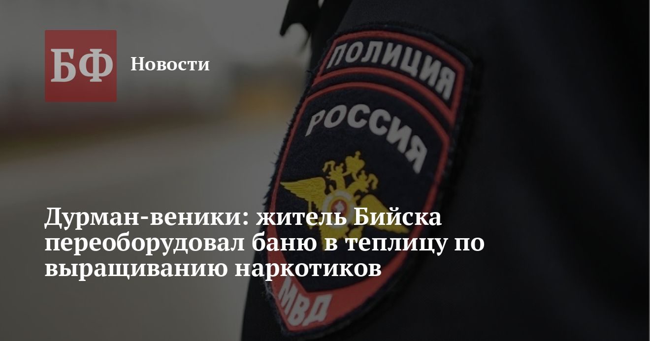 В Бийске полицейские выявили подпольную теплицу с наркотическими растениями