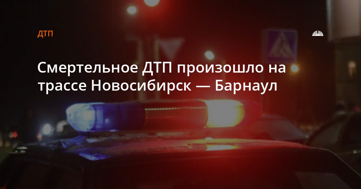 Пешеход погиб под колесами автомобиля на Чуйском тракте