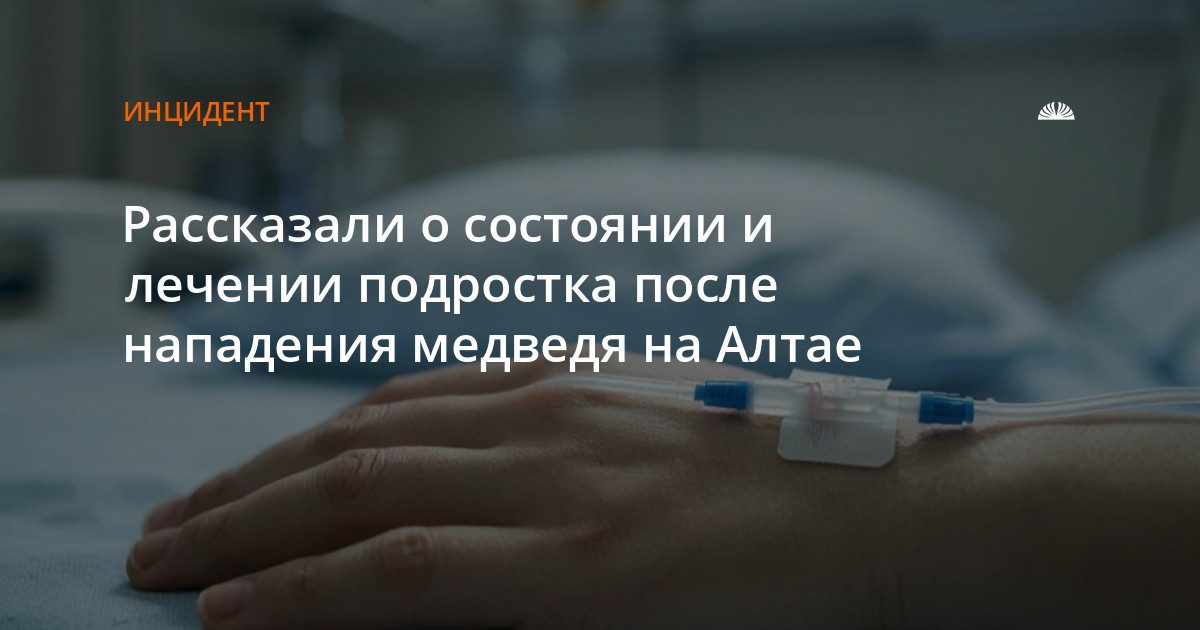 Подросток, на которого напал медведь, в тяжелом состоянии в Москве