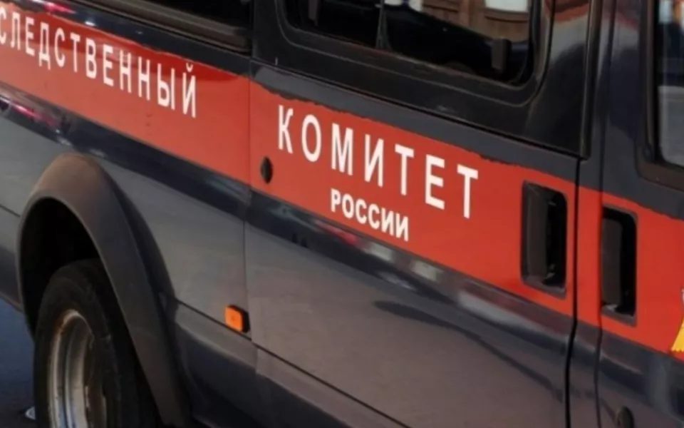 Жительницу Камня-на-Оби будут судить за истязания сына