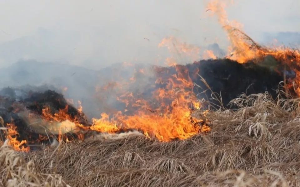 Возгорание сухой травы ликвидировано у села Захарово Рубцовского района
