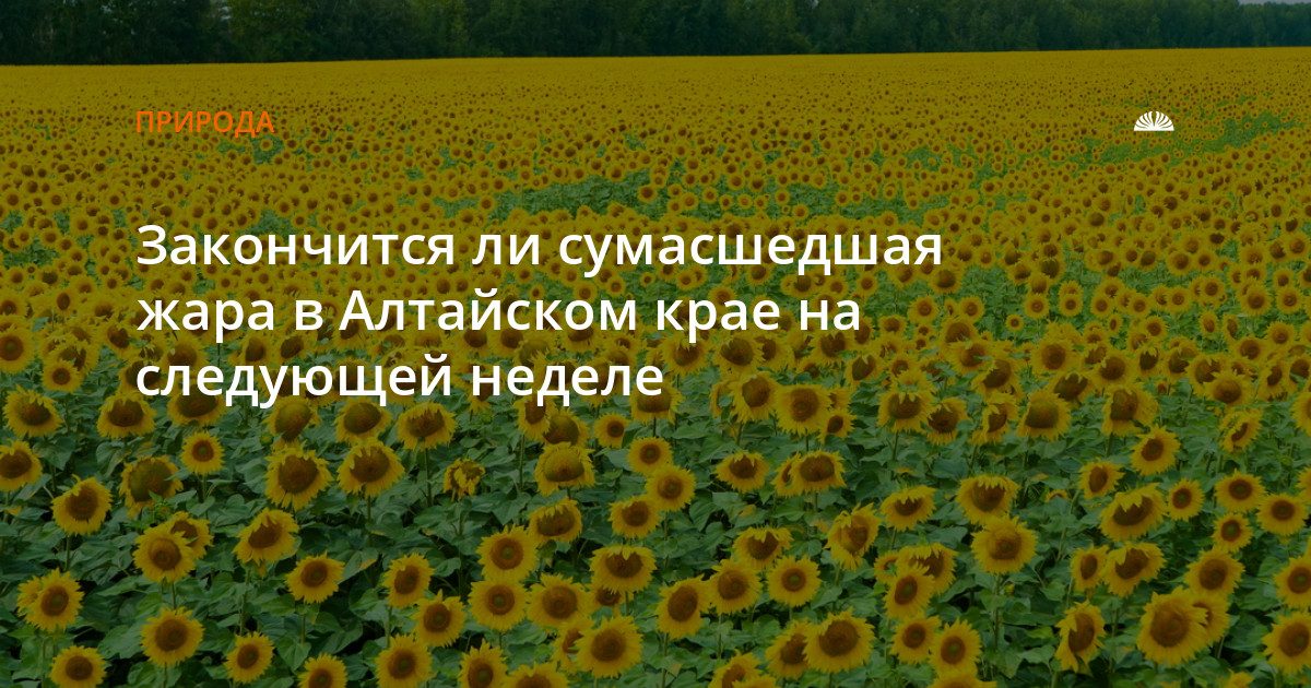 На следующей неделе в крае будут дожди, но жара останется