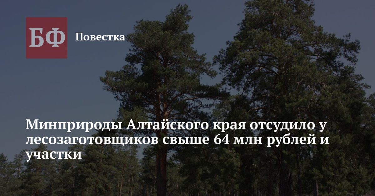 Суд обязал лесозаготовщиков вернуть участки и выплатить Минприроды Алтайского края 64 млн рублей
