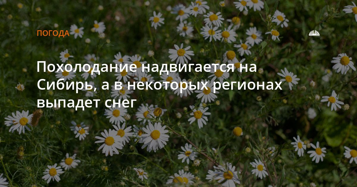 В Барнауле ожидается похолодание до 22 градусов, а в арктических регионах выпадет снег